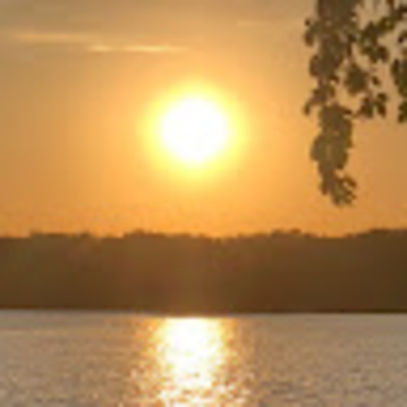 Meet your Posher, S - Picture 1 of 1